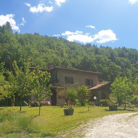 B&B il Bagarello Palazzuolo Sul Senio Exteriör bild